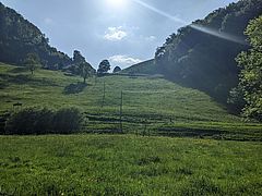 grüne Landschaft, Sonnenstrahlen. bei Schönthal (Basel-Land)