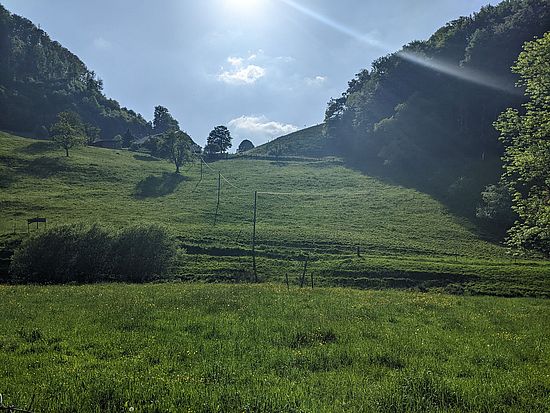 grüne Landschaft, Sonnenstrahlen. bei Schönthal (Basel-Land)