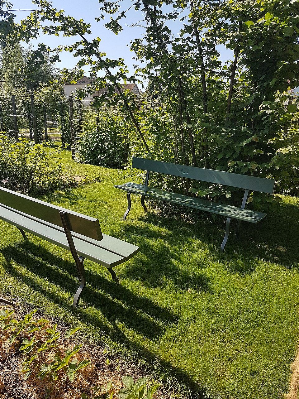 zwei leere Bänke in einem Garten